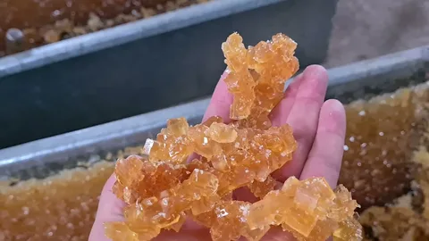 تصویر 4 از خرید نبات ریز مجلسی صادراتی + قیمت فروش